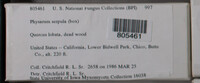 Image Associated With the Occurence